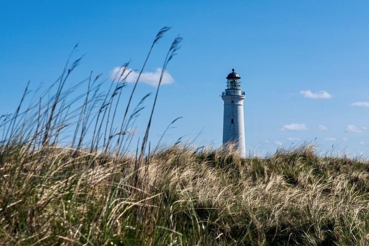 Ten things to do around the bay