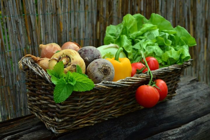 A morning in the kitchen garden